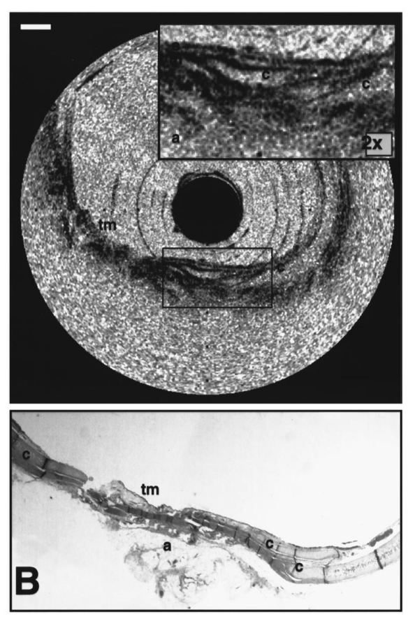 Laser technology (3) 激光技术(3)