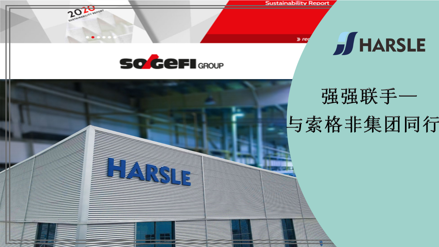 强强联手—与索格非集团同行